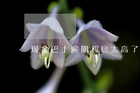 现金巴士逾期利息太高了 现金巴士逾期利息太高了