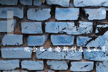 现金巴士逾期利息怎么算 现金巴士逾期利息怎么算