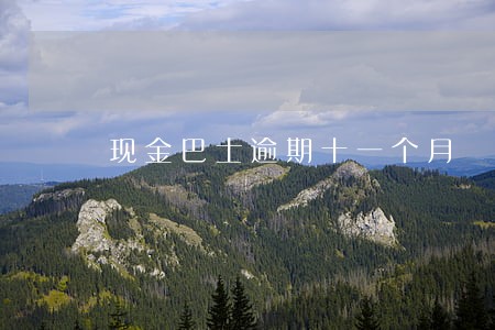 现金巴士逾期十一个月 现金巴士逾期十一个月