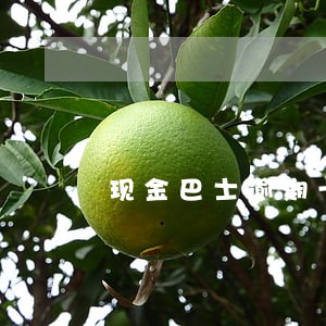 现金巴士逾期十多天 现金巴士逾期十多天