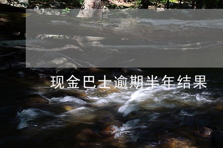 现金巴士逾期半年结果 现金巴士逾期半年结果