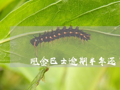 现金巴士逾期半年还了还能借吗 现金巴士逾期半年还了还能借吗