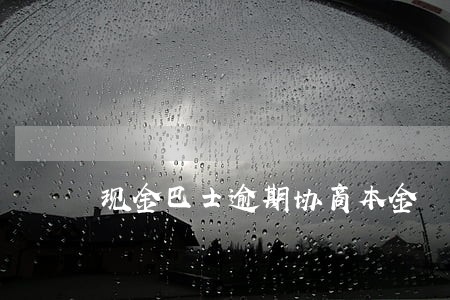 现金巴士逾期协商本金 现金巴士逾期协商本金