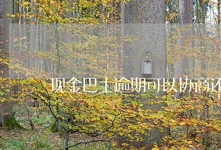 现金巴士逾期可以协商还本金吗 现金巴士逾期可以协商还本金吗