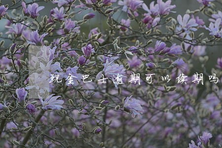 现金巴士逾期可以续期吗