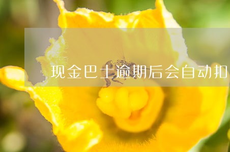现金巴士逾期后会自动扣款吗 现金巴士逾期后会自动扣款吗