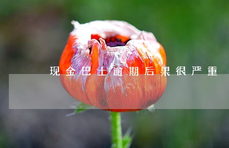 现金巴士逾期后果很严重 现金巴士逾期后果很严重