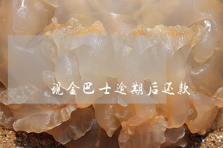 现金巴士逾期后还款 现金巴士逾期后还款