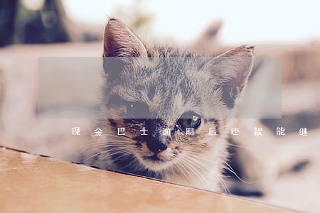 现金巴士逾期后还款能继续借吗 现金巴士逾期后还款能继续借吗