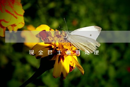 现金巴士逾期处理 现金巴士逾期处理