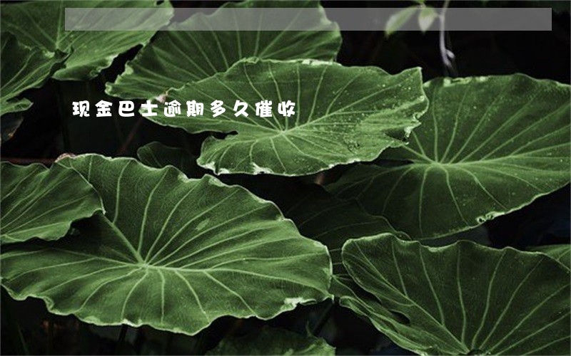 现金巴士逾期多久催收 现金巴士逾期多久催收