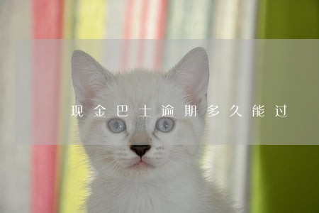 现金巴士逾期多久能过 现金巴士逾期多久能过