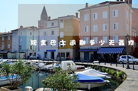 现金巴士逾期多少天轰炸 现金巴士逾期多少天轰炸