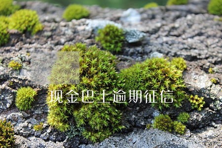 现金巴士逾期征信
