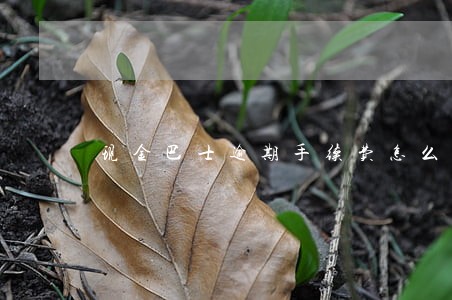 现金巴士逾期手续费怎么算