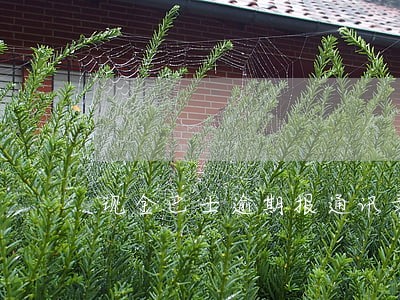 现金巴士逾期报通讯录 现金巴士逾期报通讯录