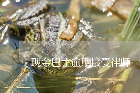 现金巴士逾期接受律师 现金巴士逾期接受律师