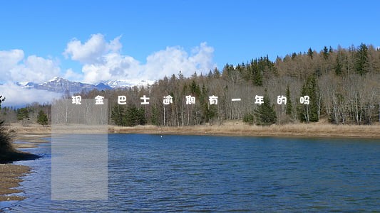 现金巴士逾期有一年的吗