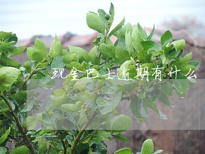 现金巴士逾期有什么 现金巴士逾期有什么