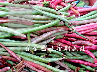 现金巴士逾期流程 现金巴士逾期流程