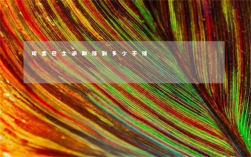 现金巴士逾期涨到多少不涨 现金巴士逾期涨到多少不涨