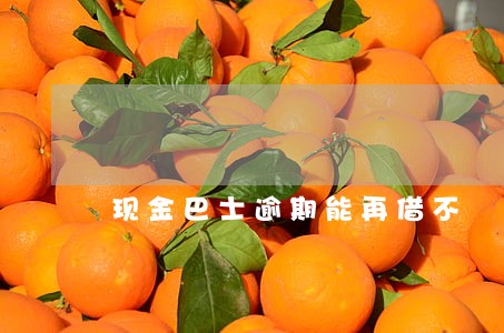 现金巴士逾期能再借不