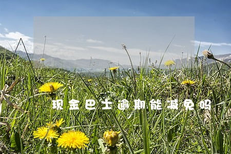 现金巴士逾期能减免吗 现金巴士逾期能减免吗