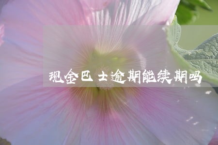 现金巴士逾期能续期吗 现金巴士逾期能续期吗