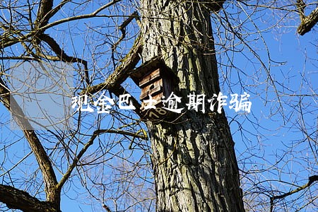 现金巴士逾期诈骗 现金巴士逾期诈骗