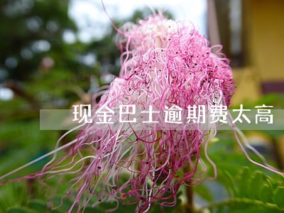 现金巴士逾期费太高 现金巴士逾期费太高