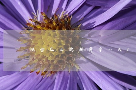 现金巴士逾期费率一天10元 现金巴士逾期费率一天10元