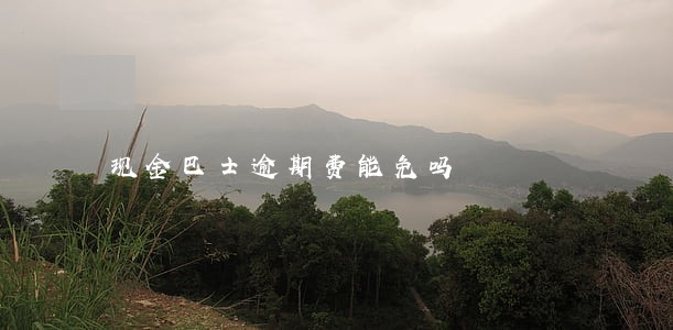 现金巴士逾期费能免吗 现金巴士逾期费能免吗