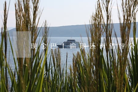现金巴士逾期还再借评分不足 现金巴士逾期还再借评分不足