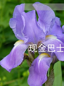 现金巴士逾期还款2个月 现金巴士逾期还款2个月