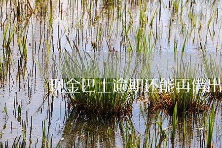 现金巴士逾期还能再借出来吗 现金巴士逾期还能再借出来吗