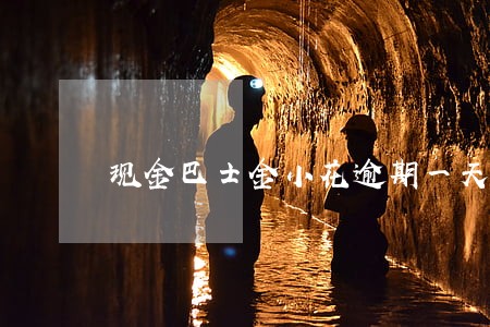 现金巴士金小花逾期一天 现金巴士金小花逾期一天