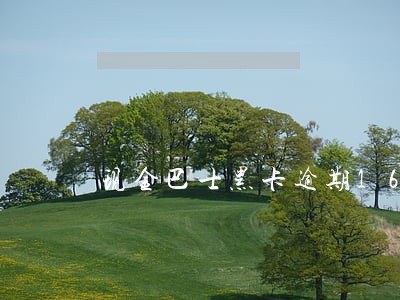 现金巴士黑卡逾期160天