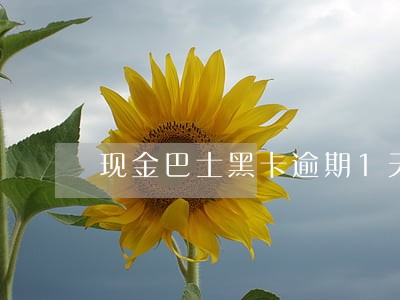 现金巴士黑卡逾期1天还能再借 现金巴士黑卡逾期1天还能再借