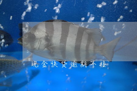 现金快贷逾期不接 现金快贷逾期不接