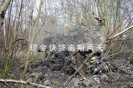 现金快贷逾期两天 现金快贷逾期两天