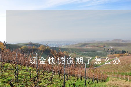 现金快贷逾期了怎么办 现金快贷逾期了怎么办