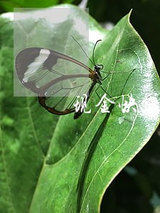 现金快贷逾期会坐牢吗 现金快贷逾期会坐牢吗