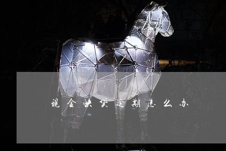 现金快贷逾期怎么办
