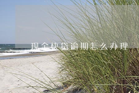 现金快贷逾期怎么办理 现金快贷逾期怎么办理