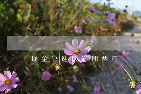 现金急速侠逾期两年 现金急速侠逾期两年