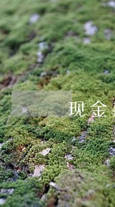 现金接口逾期 现金接口逾期