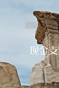 现金支票逾期未 现金支票逾期未
