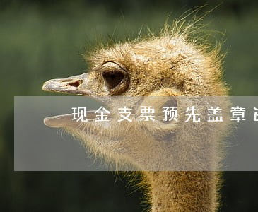 现金支票预先盖章违法吗 现金支票预先盖章违法吗