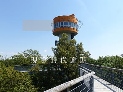 现金时代逾期 现金时代逾期