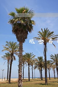 现金易逾期了 现金易逾期了